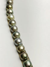 Loose Tahitian Pearls Set, Multicolor, Wholesale - Only 19 per pearl - AA Quality (218)