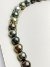 Loose Tahitian Pearls Set, Multicolor, Wholesale - Only 19 per pearl - AA Quality (219)