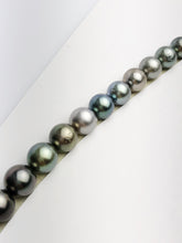 Loose Tahitian Pearls Set, Multicolor, Wholesale - Only 24 per pearl - A Quality (225)