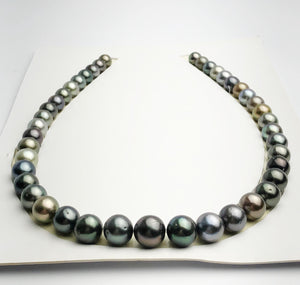 Loose Tahitian Pearls Set, Multicolor, Wholesale - Only 19 dollars per pearl - AA Quality (238)