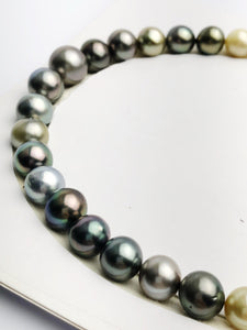 Loose Tahitian Pearls Set, Multicolor, Wholesale - Only 18 dollars per pearl - AA Quality (241)