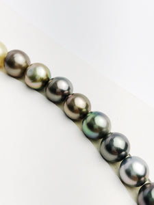 Loose Tahitian Pearls Set, Multicolor, Wholesale - Only 18 dollars per pearl - AA Quality (241)