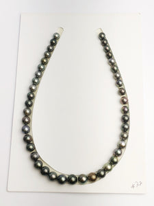 Loose Tahitian Pearls Set, Multicolor, Wholesale - Only 22 dollars per pearl - AA Quality (249)
