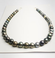 Loose Tahitian Pearls Set, Multicolor, Wholesale - Only 17 dollars per pearl - AA Quality (251)