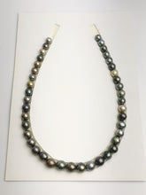 Loose Tahitian Pearls Set, Multicolor, Wholesale - Only 17 dollars per pearl - AA Quality (251)