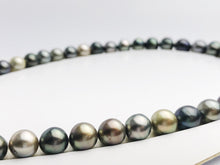 Loose Tahitian Pearls Set, Multicolor, Wholesale - Only 17 dollars per pearl - AA Quality (251)