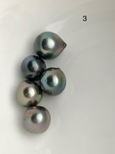 5 Pearls - Multicolor Tahitian Peacock Drop Shape Loose Pearls - A+ Quality - 12 to 14.9mm (#533 No. 1-6)