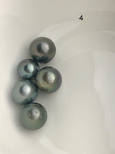 5 Pearls - Multicolor Tahitian Loose Pearls - A+ Quality - 10 to 14.9mm (#537 No. 1-6)