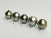 AAA Quality Multicolor Tahitian Peacock Loose Pearls - Short Drop Shape - 12mm (#572 No. 1-5)