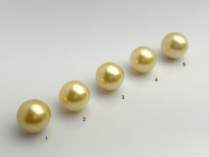 16mm - Golden South Sea Loose Pearls - Round - AA - 50% Percent Off Special (#574 No. 1-5)