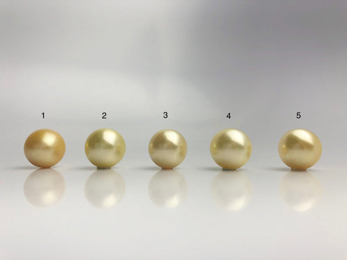 16mm - Golden South Sea Loose Pearls - Round - AA - 50% Percent Off Special, South Sea (#575 No. 1-5)