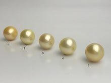 16mm - Golden South Sea Loose Pearls - Round - AA - 50% Percent Off Special, South Sea (#575 No. 1-5)