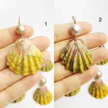 Sunrise Shell Wire and Pearl Pendants from Hawaii - Natural Color - Sunrise Shells - Sunnies (386 No. 1-10)