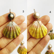 Sunrise Shell Wire and Pearl Pendants from Hawaii - Natural Color - Sunrise Shells - Sunnies (386 No. 1-10)
