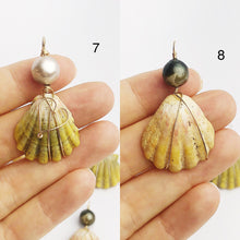 Sunrise Shell Wire and Pearl Pendants from Hawaii - Natural Color - Sunrise Shells - Sunnies (388 No. 1-10)
