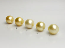 16mm - Golden South Sea Loose Pearls - Round - AA - 50% Percent Off Special, South Sea (#577 No. 1-5)