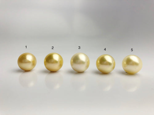 16mm - Golden South Sea Loose Pearls - Round - AA - 50% Percent Off Special, South Sea (#577 No. 1-5)