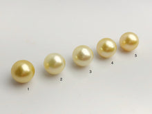 15mm - Golden South Sea Loose Pearls - Round - AA - 50% Percent Off Special, South Sea (#579 No. 1-5)