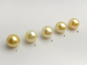 15mm - Golden South Sea Loose Pearls - Round - AA - 50% Percent Off Special, South Sea (#579 No. 1-5)