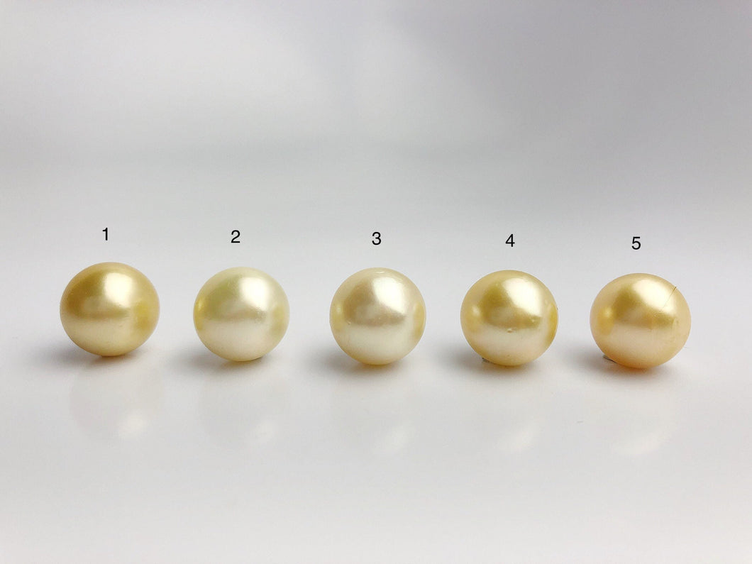 15mm - Golden South Sea Loose Pearls - Round - AA - 50% Percent Off Special, South Sea (#579 No. 1-5)