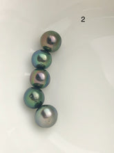 5 Pearls - Multicolor Tahitian Peacock Loose pearls - Semi-Round to Oval - A+ Quality - 10 to 11mm (#587 No. 1-6)