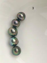 5 Pearls - Multicolor Tahitian Peacock Loose pearls - Semi-Round to Oval - A+ Quality - 10 to 11mm (#587 No. 1-6)