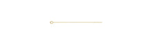 Eyepin 22ga .025x2.0"(0.64x50.8mm), 14k gold filled. Made in USA. #4005459