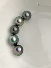 5 Pearls - Multicolor Tahitian Peacock Drop Shape Loose Pearls - A+ Quality - 12 to 14.9mm (#533 No. 1-6)