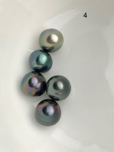 5 Pearls - Multicolor Tahitian Peacock Drop Shape Loose Pearls - A+ Quality - 12 to 14.9mm (#533 No. 1-6)