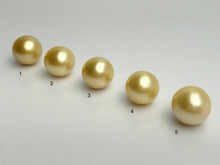 16mm - Golden South Sea Loose Pearls - Round - AA - 50% Percent Off Special (#574 No. 1-5)