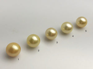 16mm - Golden South Sea Loose Pearls - Round - AA - 50% Percent Off Special, South Sea (#575 No. 1-5)