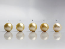16mm - Golden South Sea Loose Pearls - Round - AA - 50% Percent Off Special, South Sea (#576 No. 1-5)