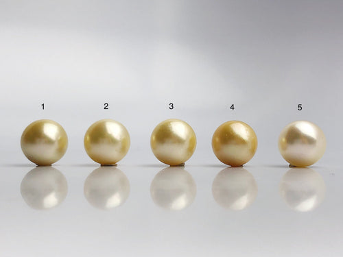 16mm - Golden South Sea Loose Pearls - Round - AA - 50% Percent Off Special, South Sea (#576 No. 1-5)