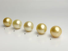 15mm - Golden South Sea Loose Pearls - Round - AA - 50% Percent Off Special, South Sea (#579 No. 1-5)