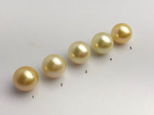 15mm - Golden South Sea Loose Pearls - Round - AA - 50% Percent Off Special, South Sea (#580 No. 1-5)