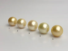 15mm - Golden South Sea Loose Pearls - Round - AA - 50% Percent Off Special, South Sea (#580 No. 1-5)