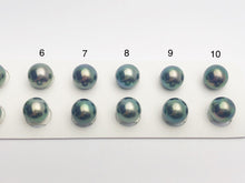 Tahitian Loose Pearls, Round AA, Peacock Multi Colored Matched Pairs, 10-10.5mm, #658