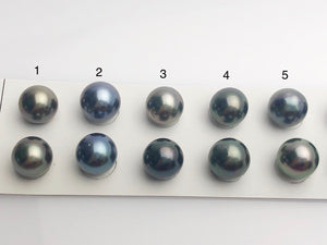 Tahitian Matched Pairs Loose Pearls, AA 11-12mm, Round Multi Colors, #639