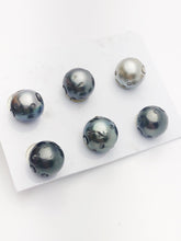 Carved Clam Shell with Bubbles Tahitian Pearl 12-13mm (752)