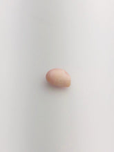 Conch Pearl Loose 12.4mm x 6.6mm No. 4