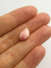 Conch Pearl Loose 12.4mm x 6.6mm No. 4