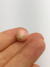 Conch Pearl Loose 11.4mm x 10.1mm No. 5