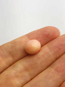 Conch Pearl Loose 11.4mm x 10.1mm No. 5