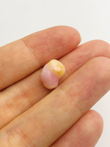 Conch Pearl Loose 12.3mm x 6.9mm No. 7