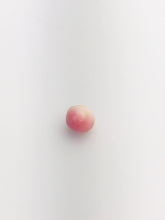 Conch Pearl Loose 9.4mm x 8.0mm No. 8