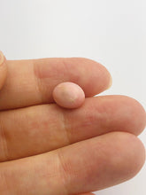 Conch Pearl Loose 10.3mm x 7.3mm No. 10
