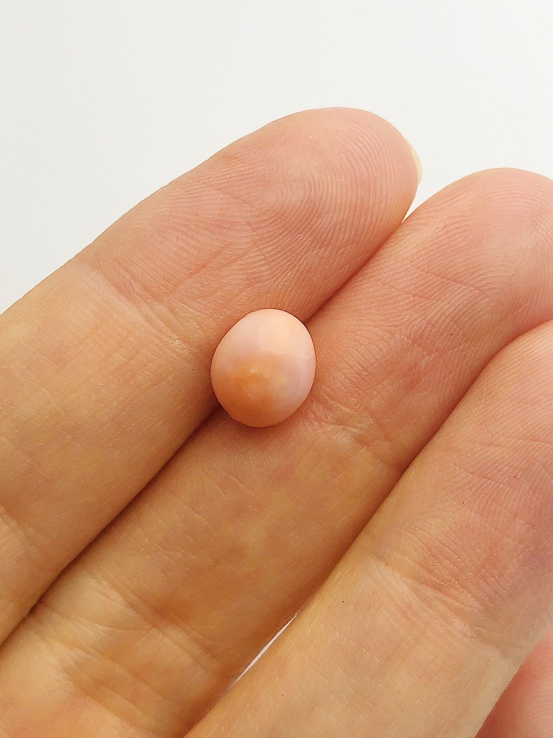 Conch Pearl Loose x 13