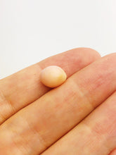 Conch Pearl Loose 9.72mm x 7.74mm No. 22