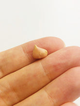 Conch Pearl Loose 8.8mm x 6.46mm No. 26