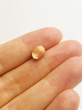 Conch Pearl Loose 8.8mm x 6.46mm No. 26